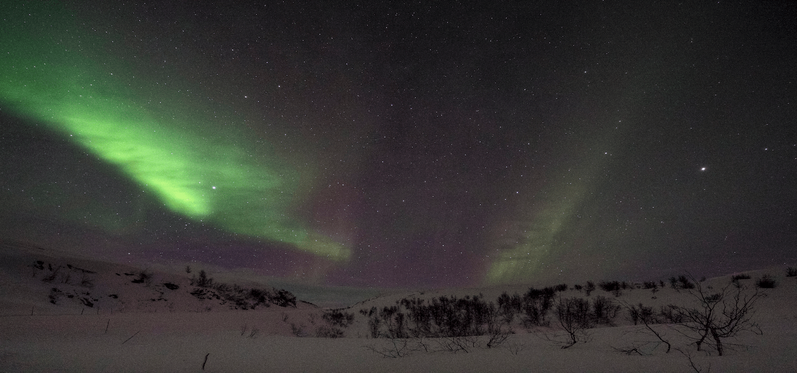 Green northern lights above snow landscape