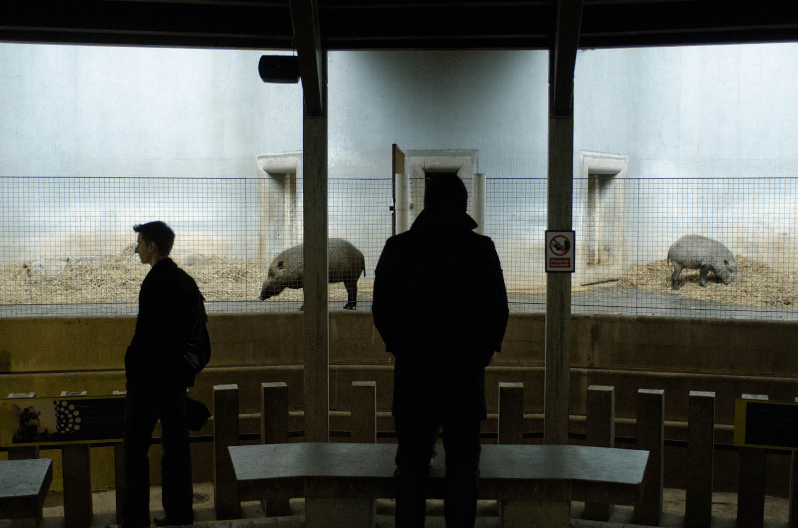 Light contrast with view on a two persons looking at animals in a zoo cage